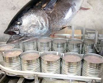 Thai tuna canners issue statement on food safety; reviewed procedures are correct
