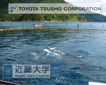 Japan progressing on commercially viable system to breed and farm bluefin tuna