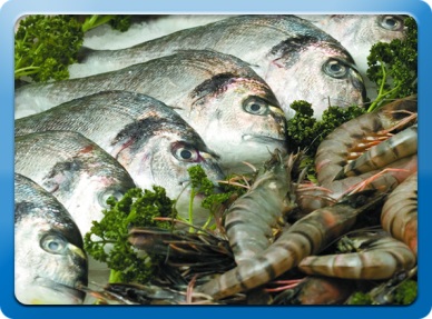 UK consumers buying less fish, but paying more for it