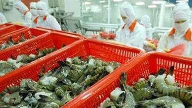 Promising prospects for Vietnam’s agro and seafood exports to Ukraine