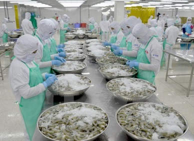 Vietnam sees a favorable opportunity for shrimp exports after COVID-19