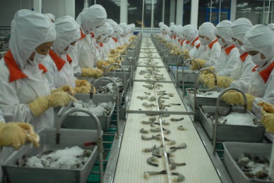 Shrimp exports to Canada surged by nearly 32% 