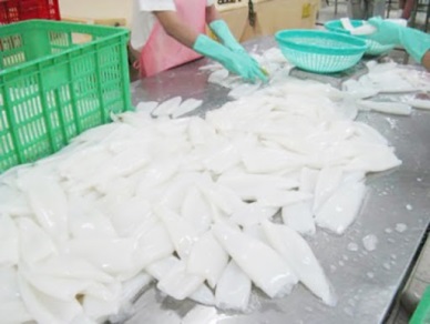 South Korea raised imports of dried/smoked squid from Vietnam