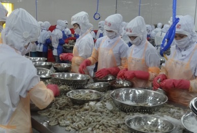 Seafood exports to EU rose slightly 