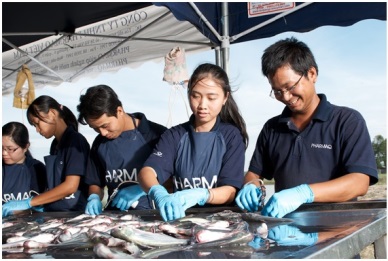 PHARMAQ fish vaccine ALPHA JECT ® Panga 2 received Marketing Authorisation