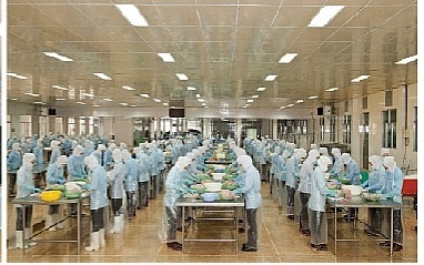 ABT expects 2017 dividend rate to touch 40-50%