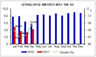 Jan-Apr 2017: Vietnam cephalopod sales to US hit  US$1.6 million