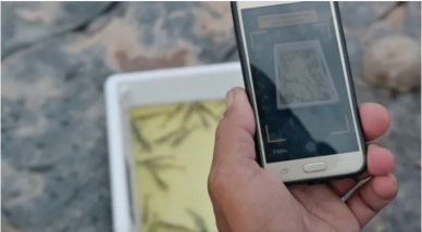 Vietnamese shrimp farmers flock to new app