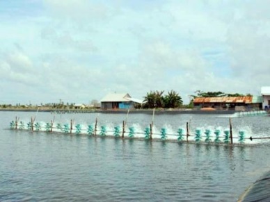 Aquaculture Vietnam 2016 to take place in October