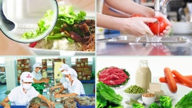 Circular 08/2016/TT-BNNPTNT: Stipulating the order and procedures for quarantining aquatic animals and aquatic products