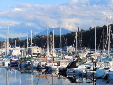 US per capita seafood consumption drops 4%