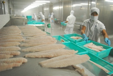 VASEP setting up Standing Board of Freshwater Fish Committee