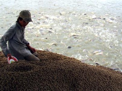 Issuance of amended and supplemented list of aquatic feed legally used in Vietnam