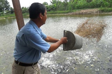 Amended and supplemented list of aquatic feed legally used in Vietnam