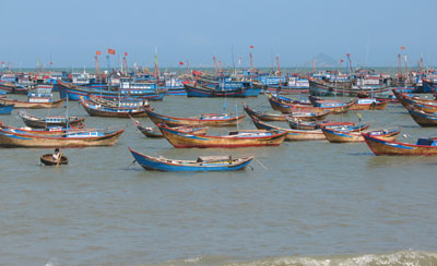 Amending and supplementing some articles of Decrees on fishery