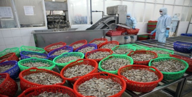 Quarantining live fish exported to Canada