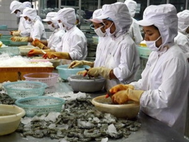 VASEP petitioned to lessen complicated procedures of quarantining frozen imported fish