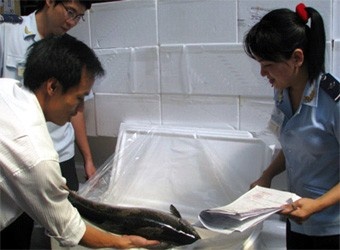 Establishment of a group aimed at drawing up and building the Circular related to seafood quarantine which amending and replacing the Circular 06/2010/TT-BNNPTNT  