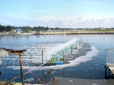 Introducing methods of saving energy in agricultural production