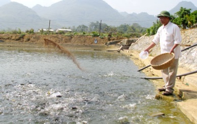 Support for fish farmers suffer from disaster and epidemic