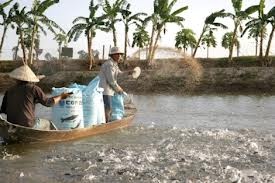 Urgent policies to promote livestock production and aquaculture