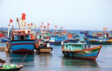 Kien Giang: Up in exports of canned fish to Cambodia