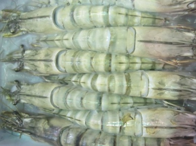 China - The third largest importer of Vietnam seafood