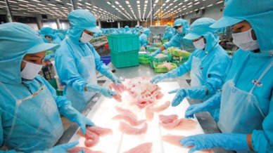 Fruitful results of Vietnam seafood exports in 2014