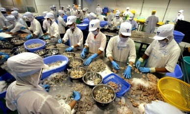 Shrimp exports to the US to increase