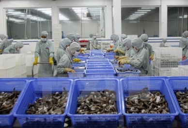 Phu Yen pours over 2.1 trillion VND into aquaculture