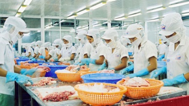 Vietnam’s exports to Mexico surge