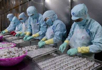 Vietnam’s aquatic export forecast to top 8.5 bln USD in 2018