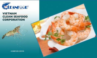 Vina Cleanfood: More cooked shrimp sent to the EU