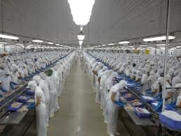 Vinh Hoan Corp’s second ASC-certified pangasius farm