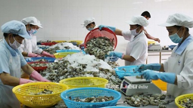 Soc Trang earns nearly US$481 mln from export