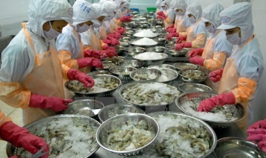 Vietnam-EAEU FTA gives boost to economic, trade ties