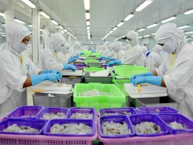 UK tops importers of Vietnam’s shrimp in EU in 2016