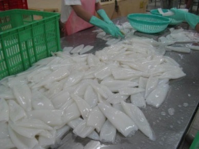 US increased imports of Vietnam octopus