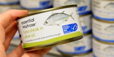 MSC expands in Poland