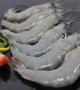 China tends to raise shrimp imports