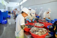 Cuttlefish, octopus export to grow