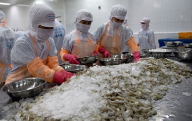 Shrimp exports hit high at over US$ 4 billion in 2014