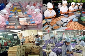 French media highlight Vietnam’s economic development