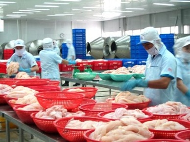 Marine fish exports continue to go up in QIII/2012