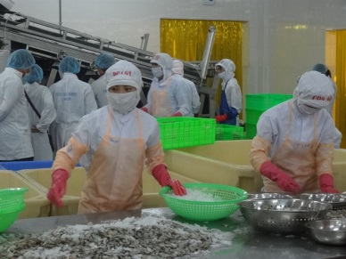 Vietnamese shrimp has the highest price in Japanese market