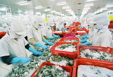 Up in Vietnam shrimp exports to China despite accelerating tension in the East Sea