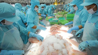 Vietnam pangasius sales to Brazil jumped