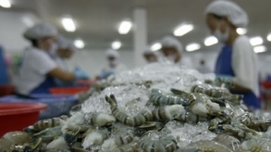 Vietnam shrimp exports to the US grew by 12%