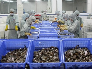 The Netherlands- a market for Vietnamese shrimp exports 