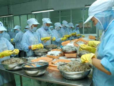 Good growth in Vietnam shrimp sales to Netherlands